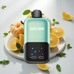 GEEK BAR 2GO 20ml 50000 Puffs Série Two Vape Pen Descartável Menta Gelada, Tela Grande, 5% Nic Sal, Recarregável