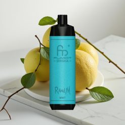 RandM Fumot Shisha 10000 Puffs Disposable Vape Menta, 18ml, 0.5% Nicotina