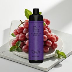 RandM Fumot Shisha 10000 Puffs Disposable Vape Uva Hortelã, 18ml, 0.5% Nicotina, Tipo-C