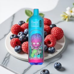 RandM Tornado 9000 Puffs Dispositivo Descartável Mirtilo Framboesa - 850mAh, 18mL, Tela RGB
