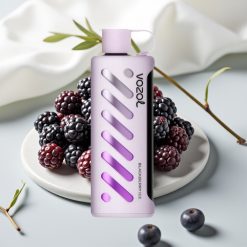 VOZOL Gear Shisha 25000 Puffs Blackberry Ice, 5mg/ml, 1000mAh, Dual Mesh