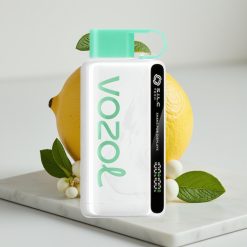VOZOL STAR 9000/12000 Disposable Vape Limão Hortelã, 650mAh, 9000/12000 Puffs, Reciclado